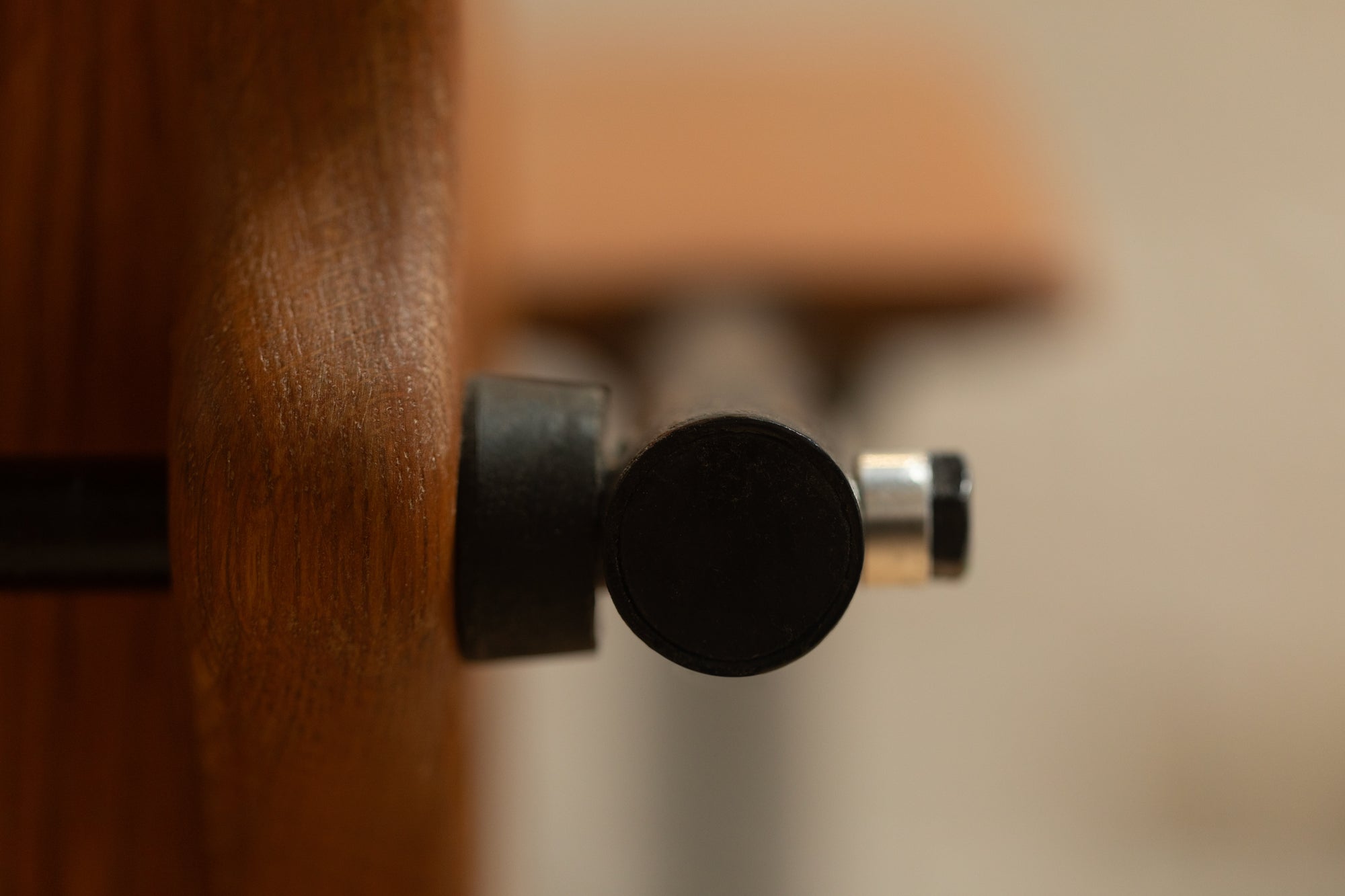 The Kangaroo Re-Edition